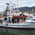 Fresh Seafood at Cairns Marina