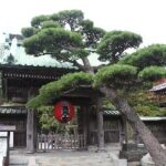 Hasedera Great Kannon Temple Kamakura