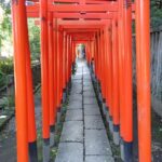 Line of Torii gates at Nezu Shrine Tokyo