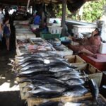 Jimbaran Bay Fish Markets