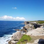 Whale watching at Cape Solander Sydney