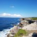 Whale watching at Cape Solander Sydney