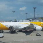 Scoot direct flight from Sydney to Singapore
