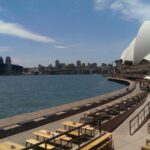 Best view of Sydney Harbour from Opera Bar